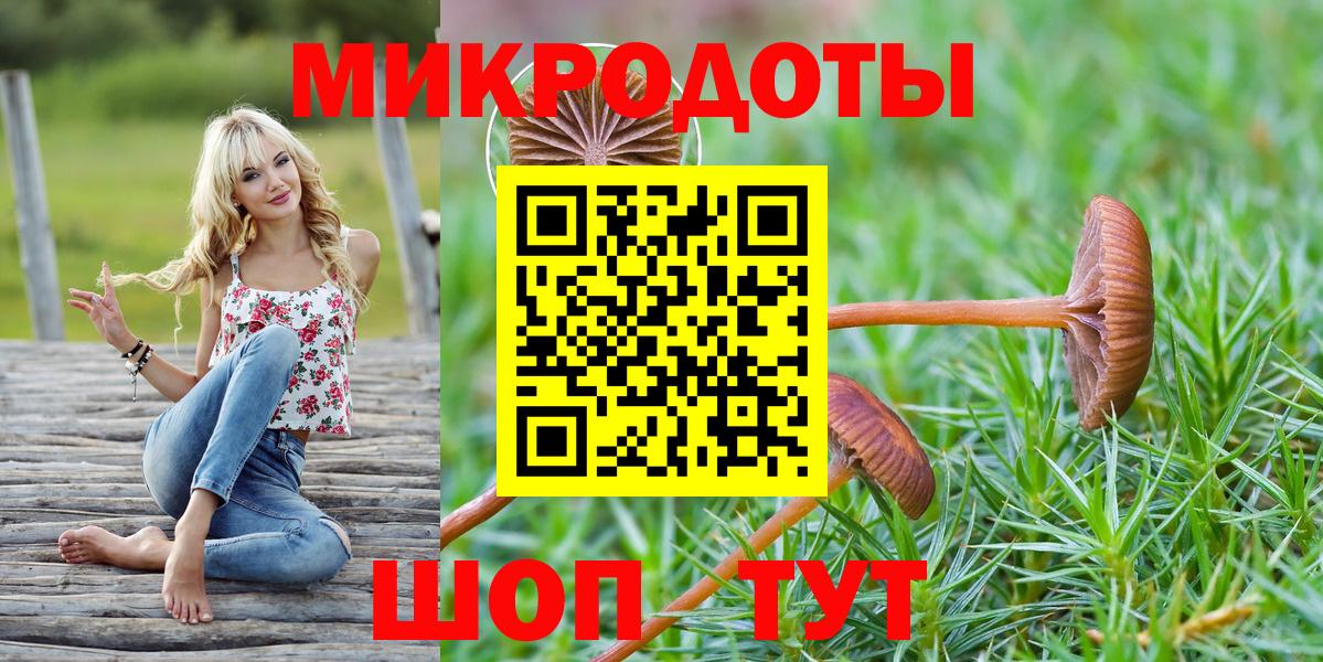 Псилоцибиновые грибы Cubensis Мурманск