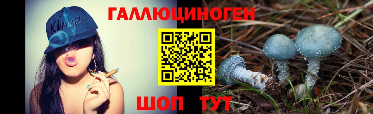 Псилоцибиновые грибы Magic Shrooms  Псилоцибиновые грибы Psilocybe  Мурманск  Вход с VPN 