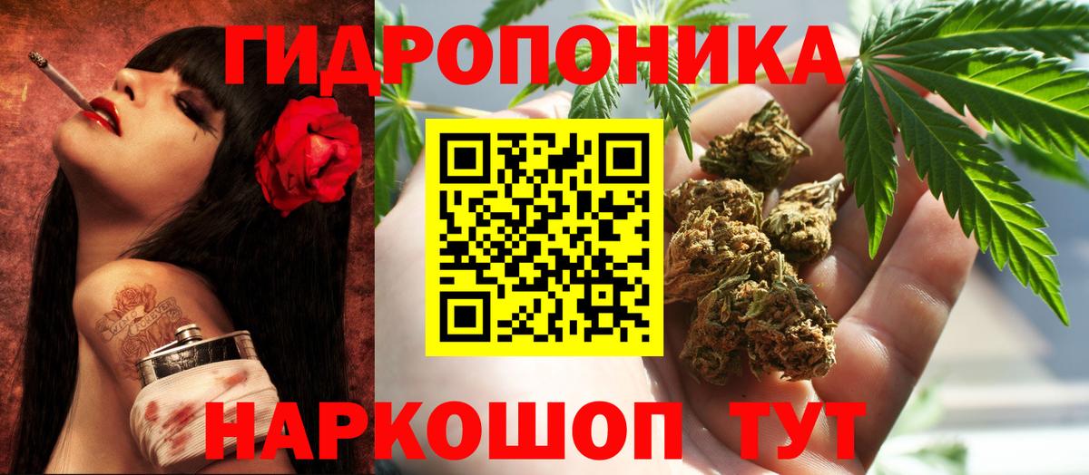 Бошки Шишки OG Kush Мурманск
